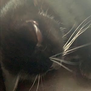 Meet your Posher, Andree-anne